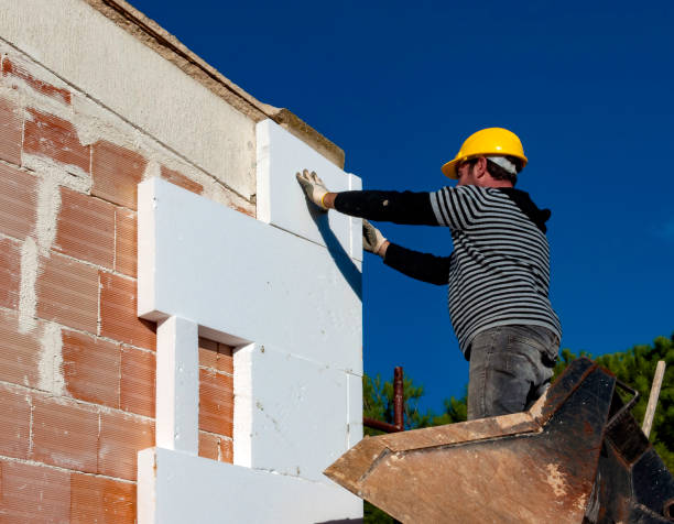 Best Insulation Maintenance and Repair in Forsyth, GA